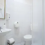 Roller 克拉科夫