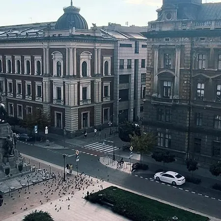 Roller Krasków